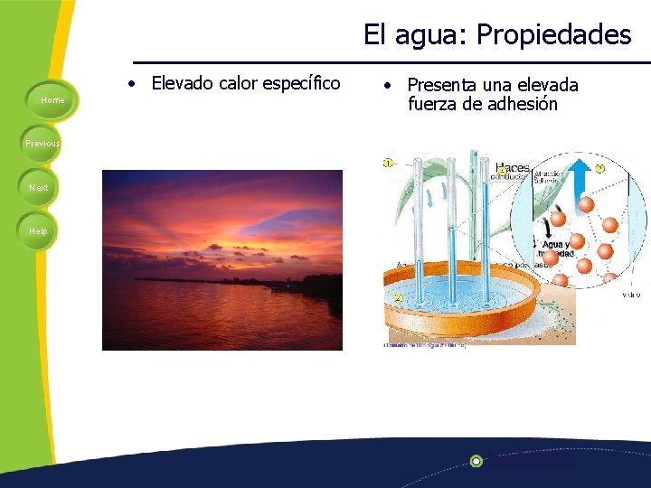 El agua: Propiedades • Elevado calor específico Home Previous Next Help • Presenta una