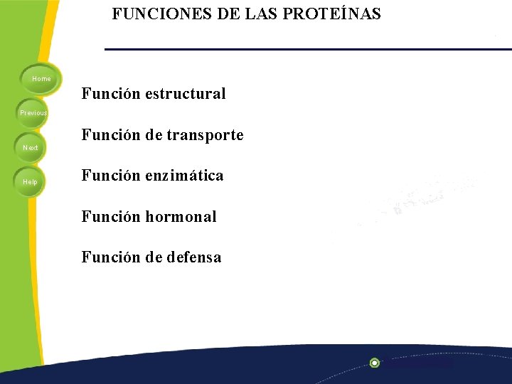 FUNCIONES DE LAS PROTEÍNAS Home Función estructural Previous Función de transporte Next Help Función