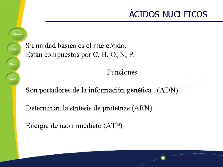 ÁCIDOS NUCLEICOS Home Previous Su unidad básica es el nucleótido. Están compuestos por C,