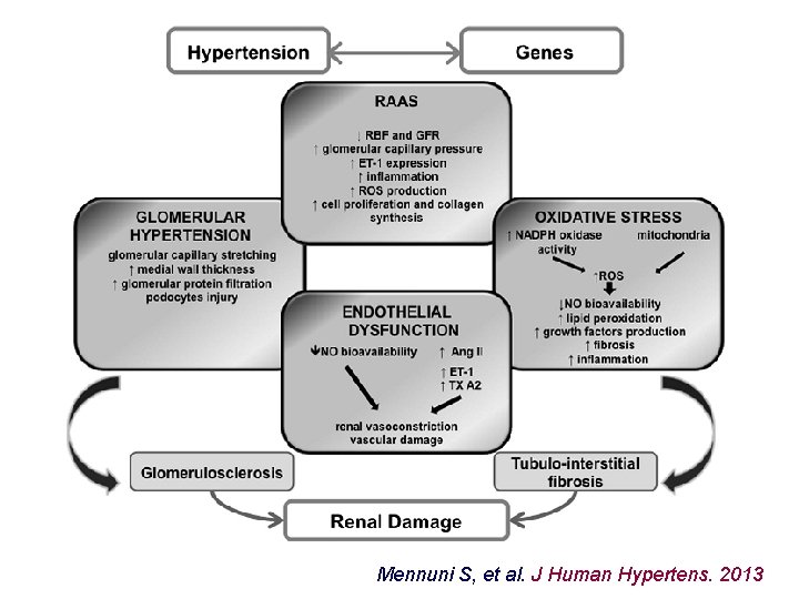 Mennuni S, et al. J Human Hypertens. 2013 