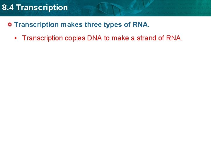 8. 4 Transcription makes three types of RNA. • Transcription copies DNA to make