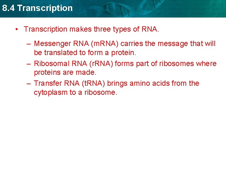 8. 4 Transcription • Transcription makes three types of RNA. – Messenger RNA (m.