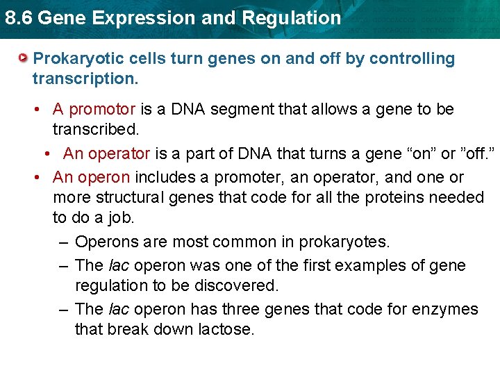 8. 6 Gene Expression and Regulation Prokaryotic cells turn genes on and off by