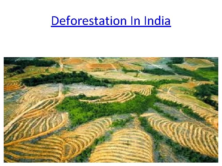 Deforestation In India 