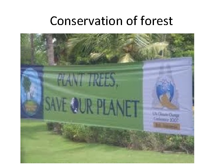 Conservation of forest 