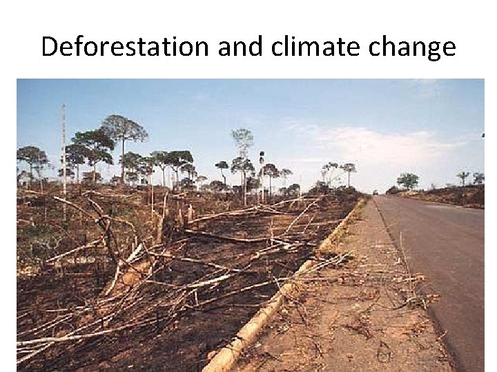 Deforestation and climate change 