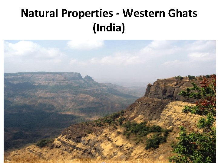 Natural Properties - Western Ghats (India) 