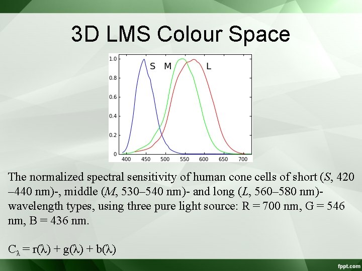 3 D LMS Colour Space The normalized spectral sensitivity of human cone cells of