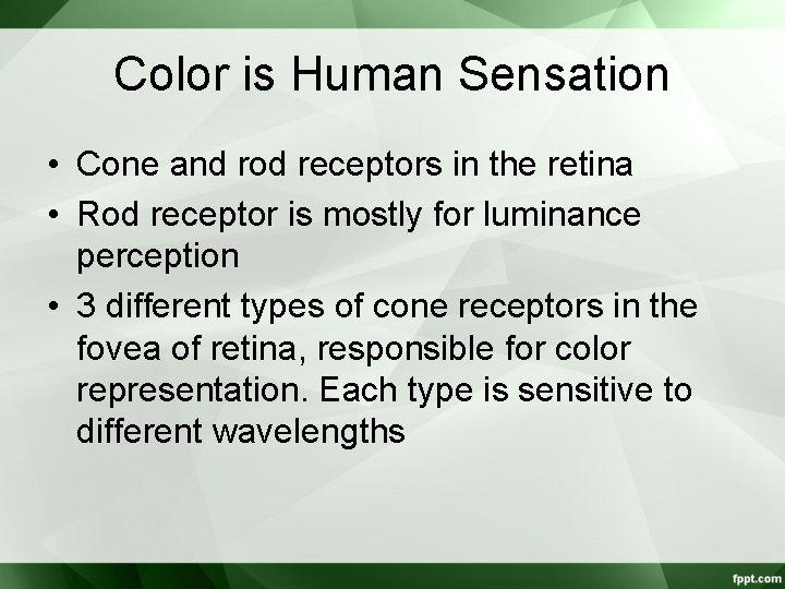 Color is Human Sensation • Cone and rod receptors in the retina • Rod
