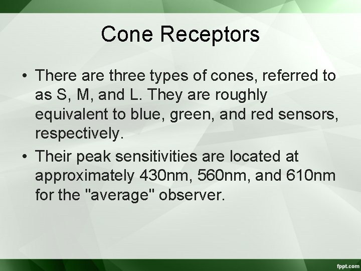 Cone Receptors • There are three types of cones, referred to as S, M,