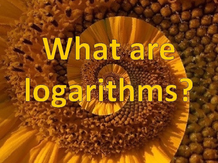 What are logarithms? 