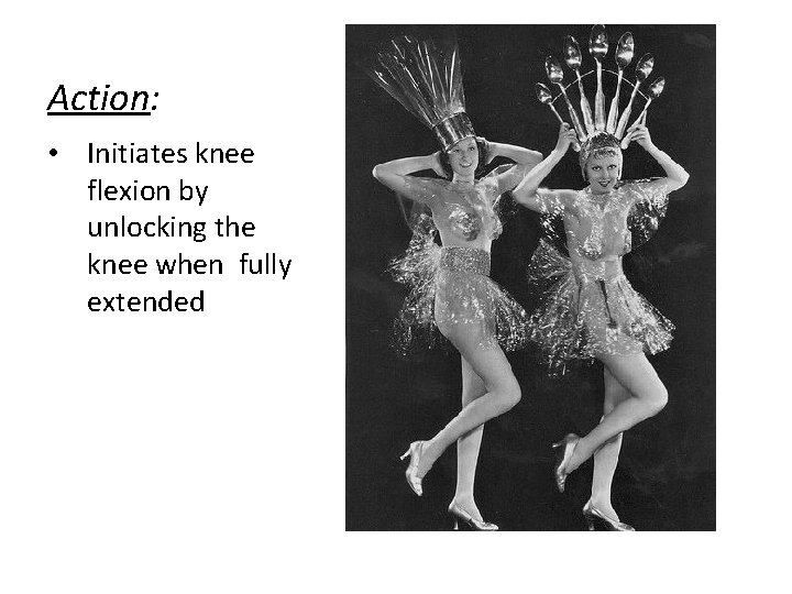 Action: • Initiates knee flexion by unlocking the knee when fully extended 