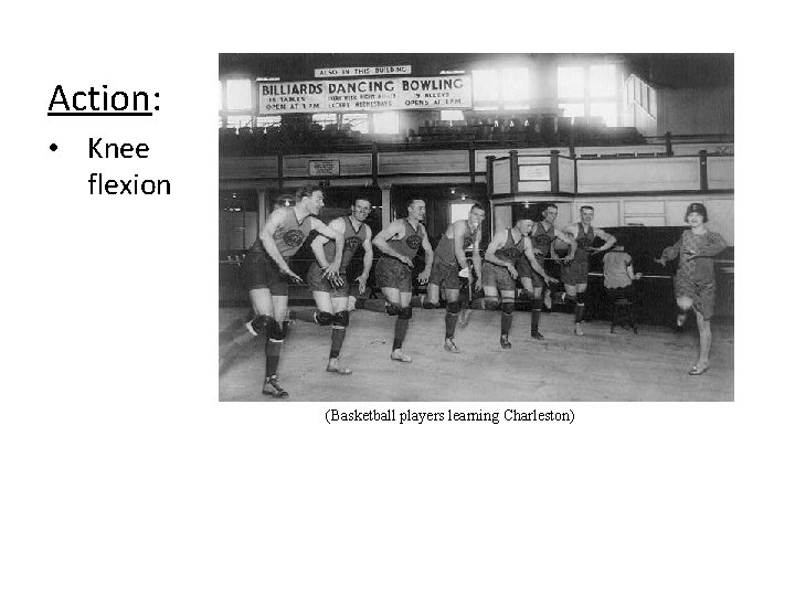 Action: • Knee flexion (Basketball players learning Charleston) 