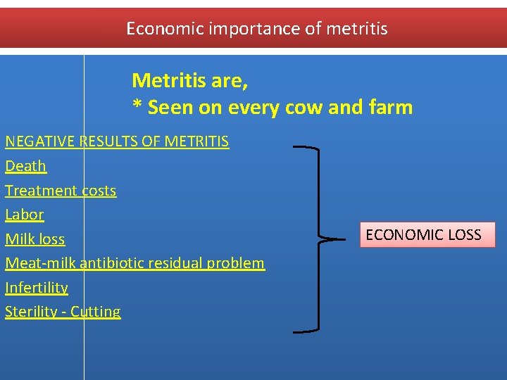 Economic importance of metritis Metritis are, * Seen on every cow and farm NEGATIVE