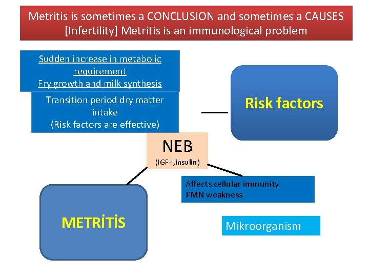 Metritis is sometimes a CONCLUSION and sometimes a CAUSES [Infertility] Metritis is an immunological