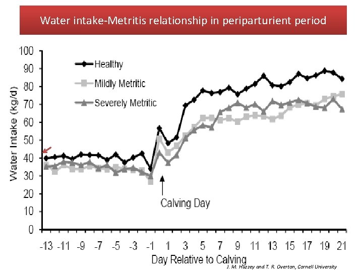 Water intake-Metritis relationship in periparturient period J. M. Huzzey and T. R. Overton, Cornell