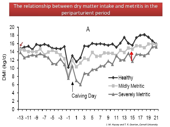 The relationship between dry matter intake and metritis in the periparturient period J. M.