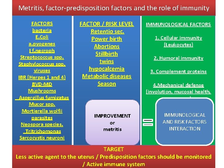 Metritis, factor-predisposition factors and the role of immunity FACTORS bacteria E. Coli a. pyogenes