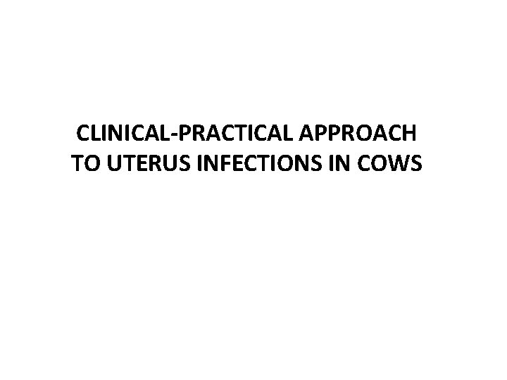 CLINICAL-PRACTICAL APPROACH TO UTERUS INFECTIONS IN COWS 