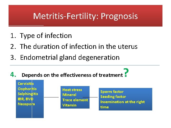 Metritis-Fertility: Prognosis 1. Type of infection 2. The duration of infection in the uterus