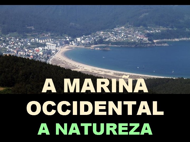 A MARIÑA OCCIDENTAL A NATUREZA 