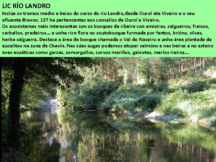 LIC RÍO LANDRO Inclúe os tramos medio e baixo do curso do río Landro,