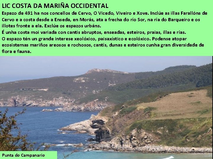 LIC COSTA DA MARIÑA OCCIDENTAL Espazo de 491 ha nos concellos de Cervo, O