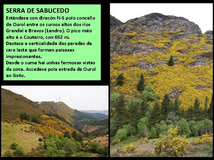 SERRA DE SABUCEDO Esténdese con direcón N-S polo concello de Ourol entre os cursos