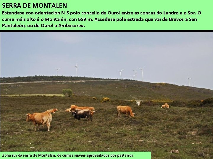 SERRA DE MONTALEN Esténdese con orientación N-S polo concello de Ourol entre as concas