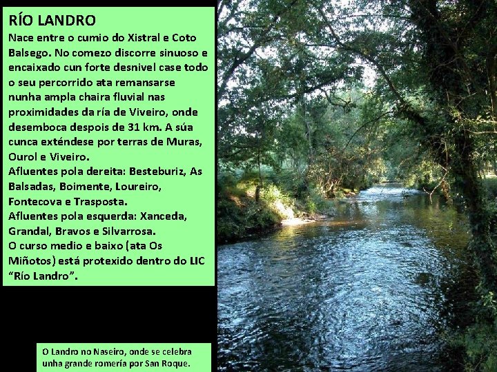 RÍO LANDRO Nace entre o cumio do Xistral e Coto Balsego. No comezo discorre