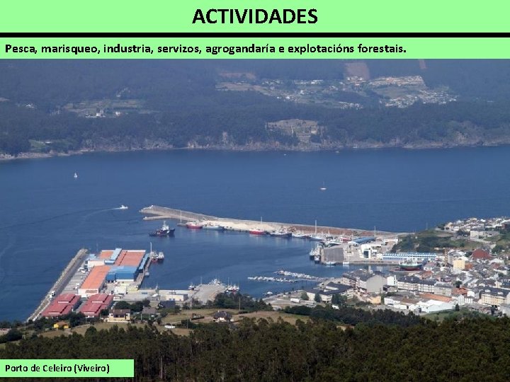 ACTIVIDADES Pesca, marisqueo, industria, servizos, agrogandaría e explotacións forestais. Porto de Celeiro (Viveiro) 
