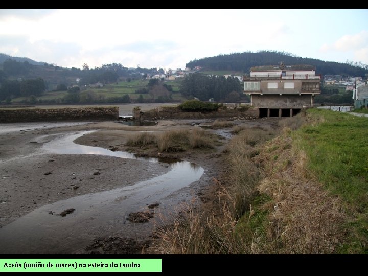 Aceña (muíño de marea) no esteiro do Landro 