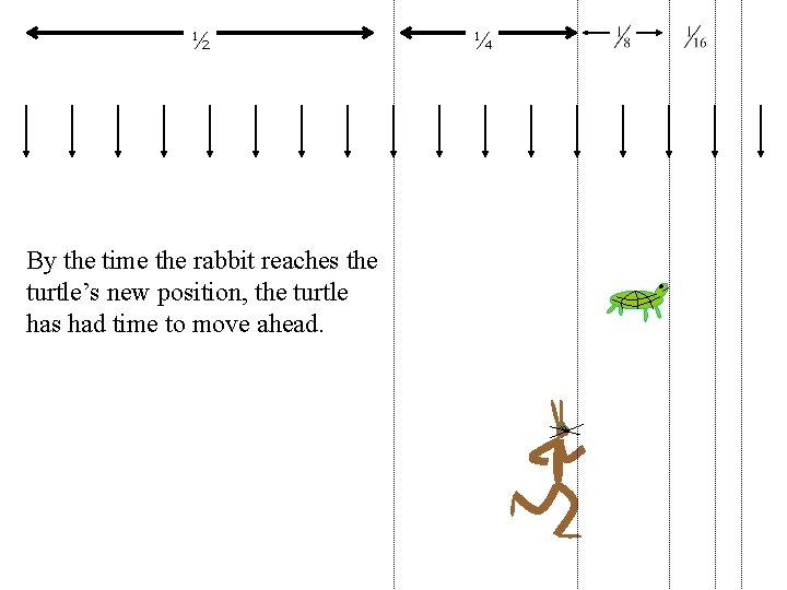 ½ By the time the rabbit reaches the turtle’s new position, the turtle has