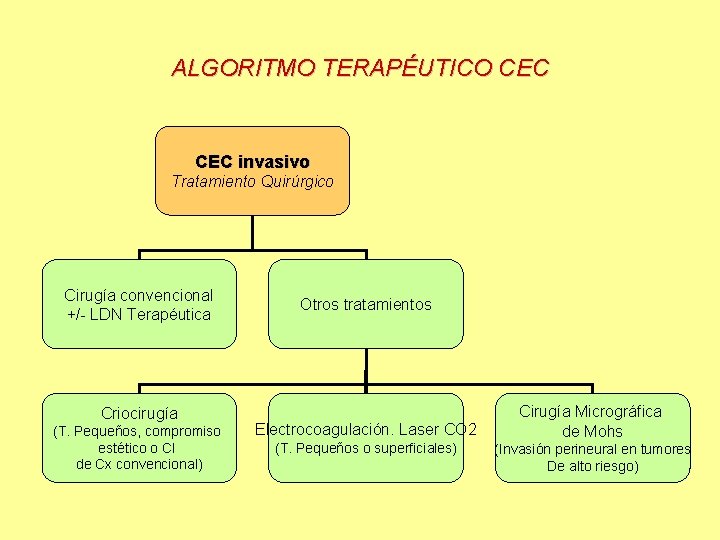 ALGORITMO TERAPÉUTICO CEC invasivo Tratamiento Quirúrgico Cirugía convencional +/- LDN Terapéutica Criocirugía (T. Pequeños,