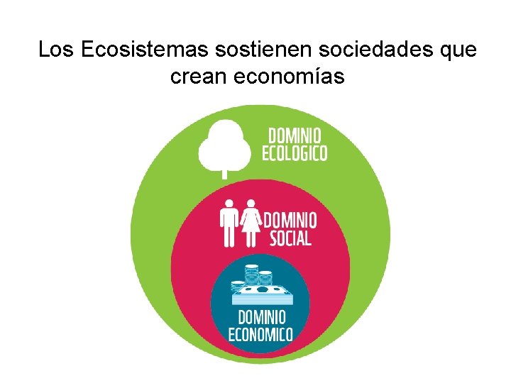 Los Ecosistemas sostienen sociedades que crean economías 