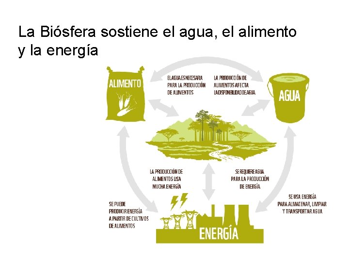 La Biósfera sostiene el agua, el alimento y la energía 