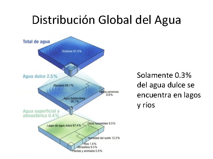 Distribución Global del Agua Solamente 0. 3% del agua dulce se encuentra en lagos