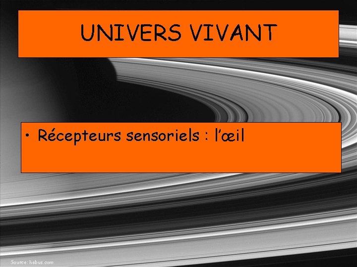 UNIVERS VIVANT • Récepteurs sensoriels : l’œil Source: hebus. com 
