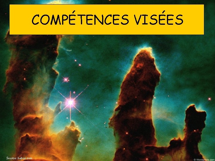 COMPÉTENCES VISÉES Source: hebus. com 