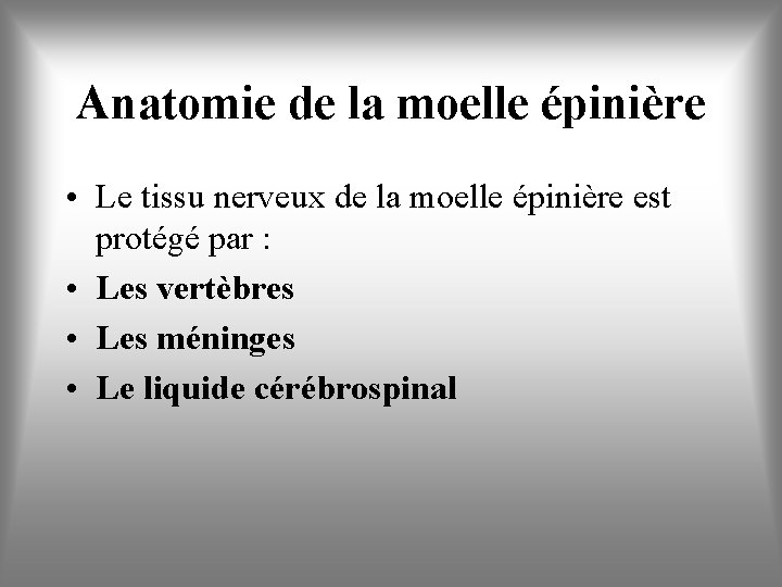 Anatomie de la moelle épinière • Le tissu nerveux de la moelle épinière est