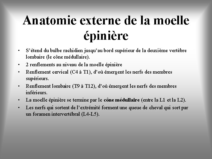 Anatomie externe de la moelle épinière • • • S’étend du bulbe rachidien jusqu’au