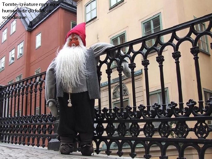 Tomte- créature mythique humanoïde du folklore scandinave 30/11/2020 