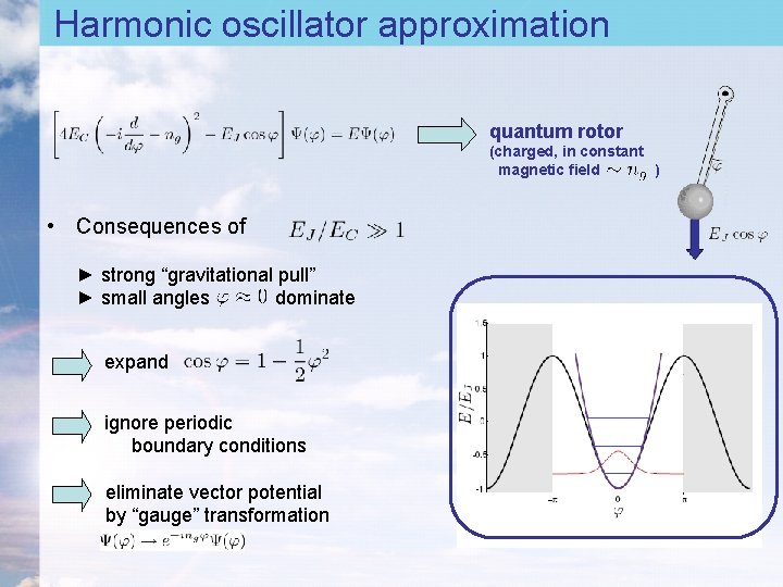 Harmonic oscillator approximation quantum rotor (charged, in constant magnetic field ) • Consequences of Harmonic oscillator approximation quantum rotor (charged, in constant magnetic field ) • Consequences of
