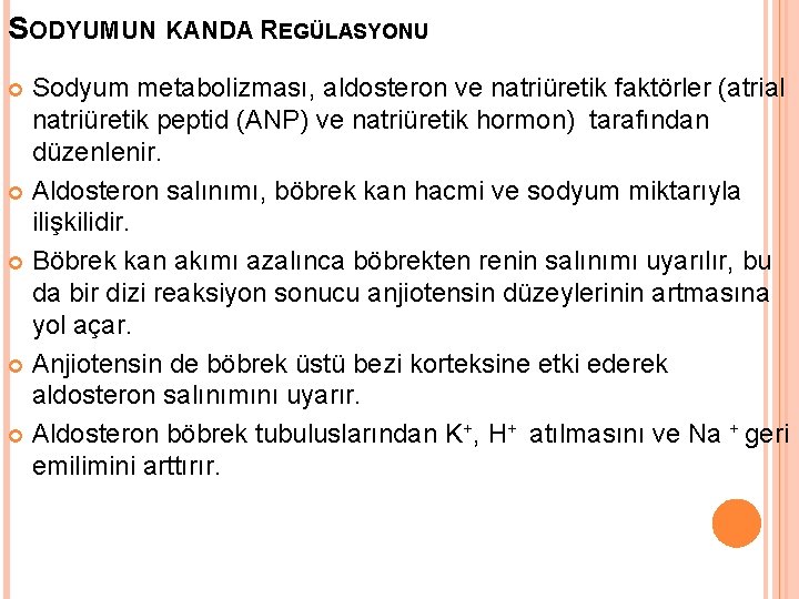 SODYUMUN KANDA REGÜLASYONU Sodyum metabolizması, aldosteron ve natriüretik faktörler (atrial natriüretik peptid (ANP) ve