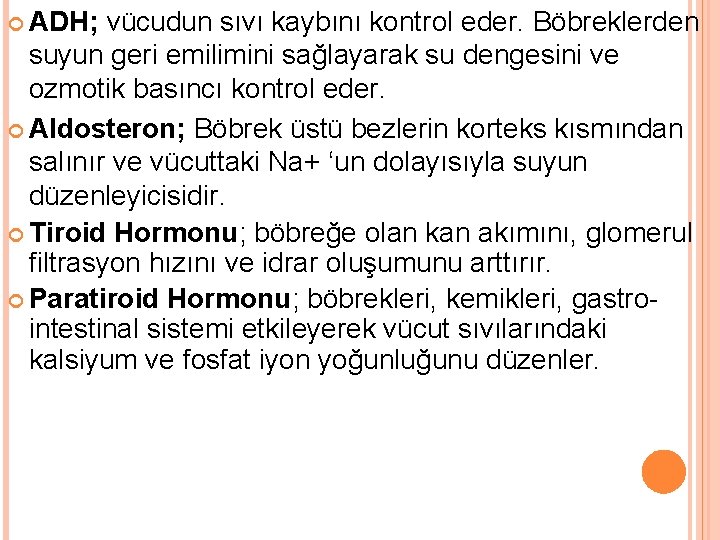  ADH; vücudun sıvı kaybını kontrol eder. Böbreklerden suyun geri emilimini sağlayarak su dengesini