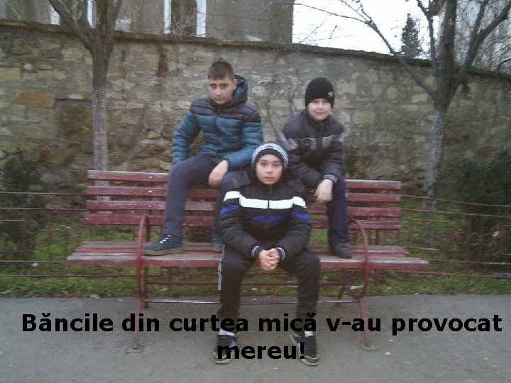Băncile din curtea mică v-au provocat mereu! 