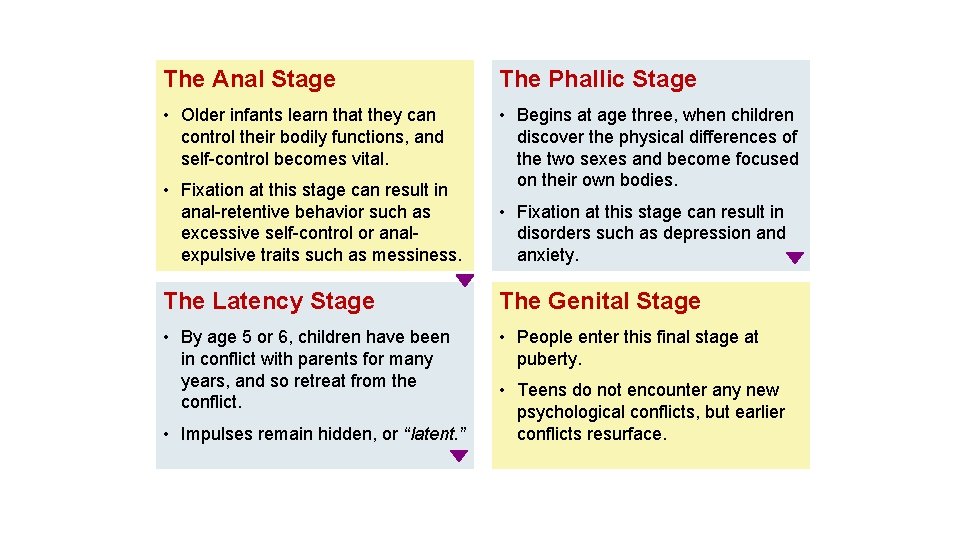 The Anal Stage The Phallic Stage • Older infants learn that they can control