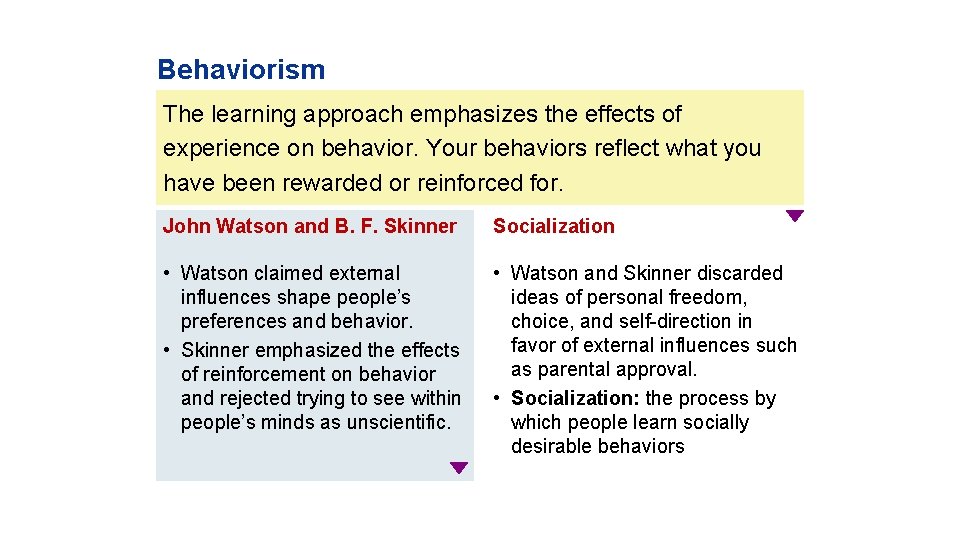 Behaviorism The learning approach emphasizes the effects of experience on behavior. Your behaviors reflect
