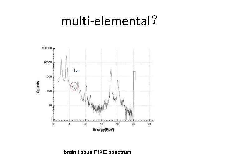 multi-elemental？ La brain tissue PIXE spectrum 