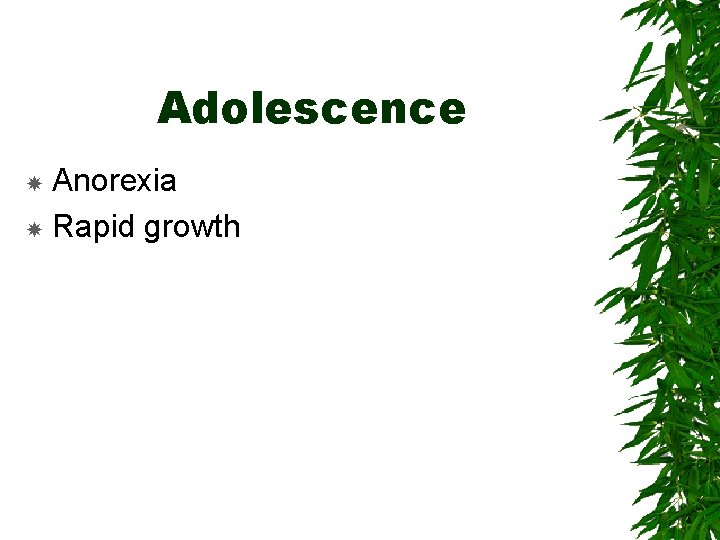 Adolescence Anorexia Rapid growth 